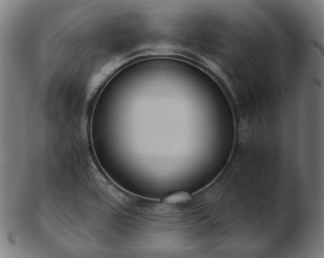 X0000103481464200809121639