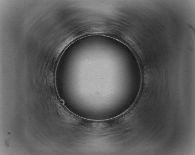 X0000103481465200809121639