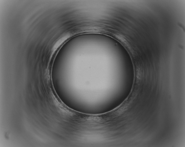 X0000103481466200809121639