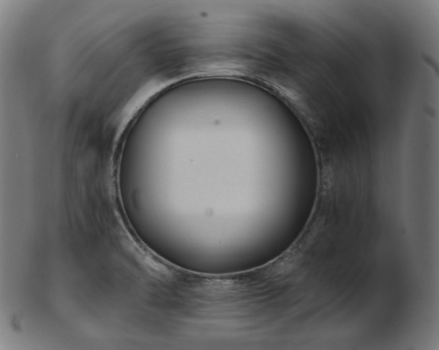 X0000103481470200809121639