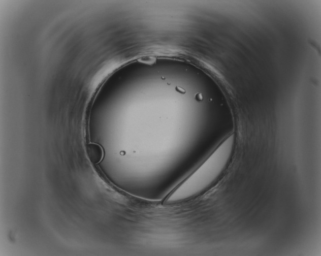 X0000103481471200809121639