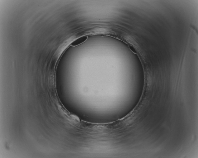 X0000103481473200809121639