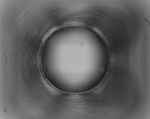 X0000103481474200809121639