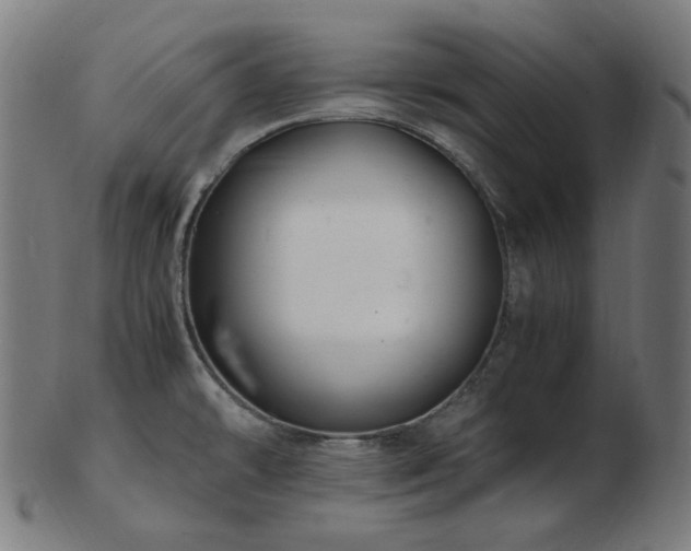 X0000103481478200809121639