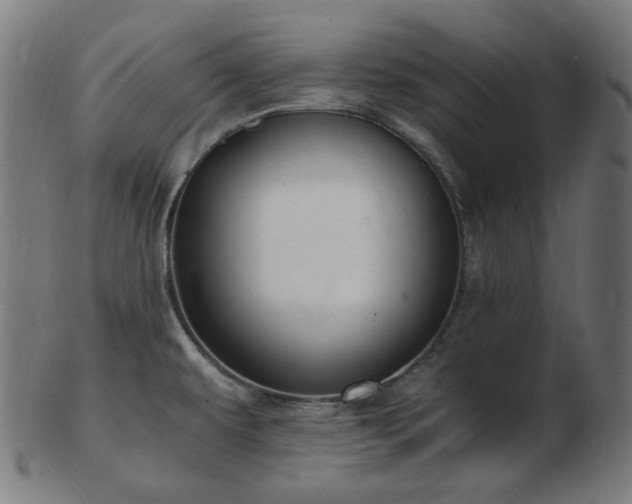 X0000103481479200809121639