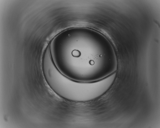 X0000103481480200809121639