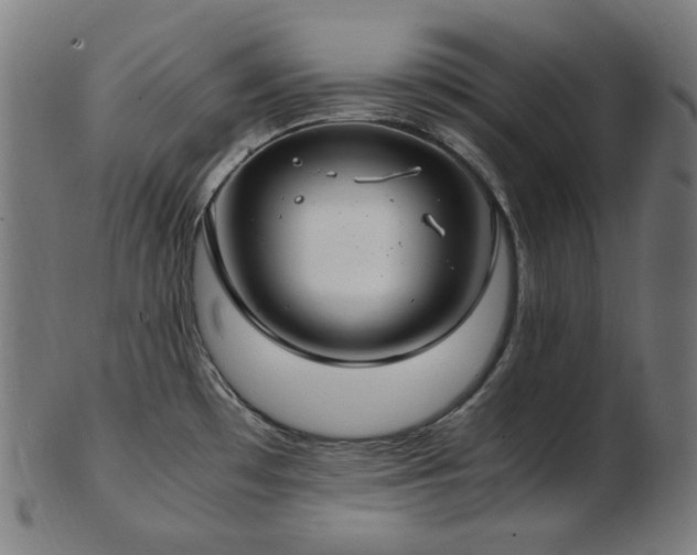 X0000103481481200809121639