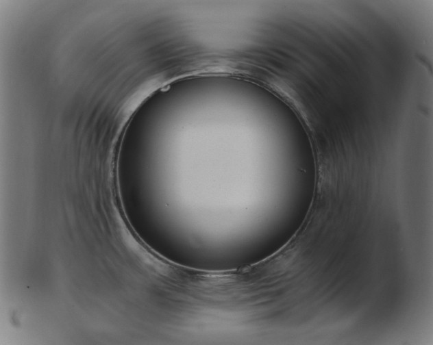 X0000103481483200809121639