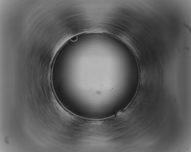 X0000103481484200809121639