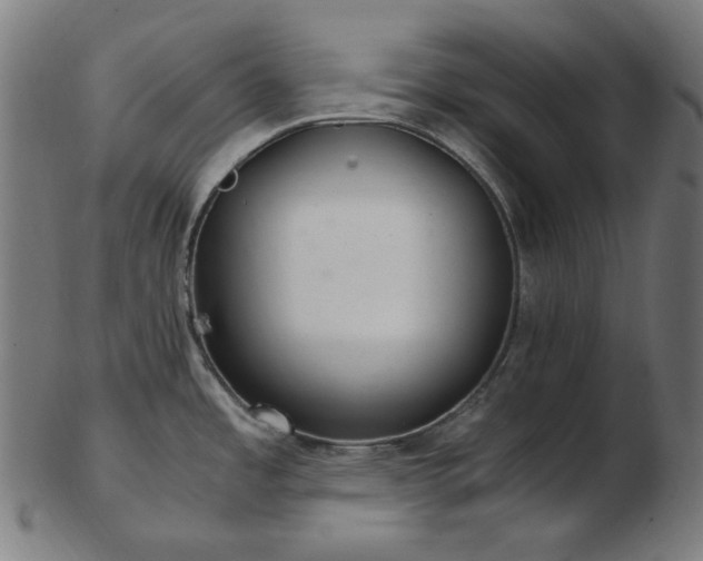 X0000103481485200809121639