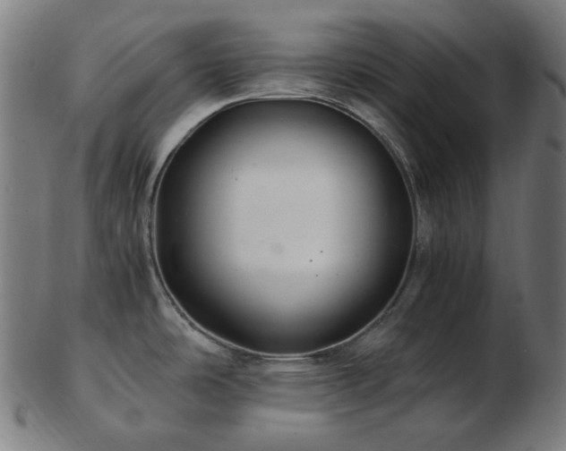 X0000103481486200809121639