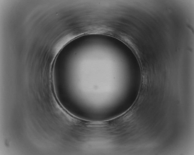 X0000103481487200809121639