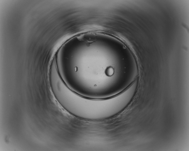 X0000103481488200809121639
