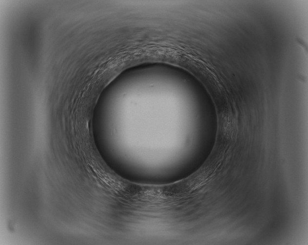 X0000103481489200809121638