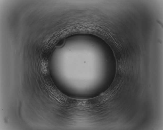 X0000103481490200809121638