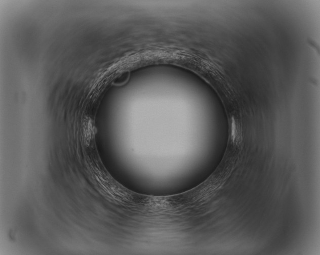 X0000103481492200809121638