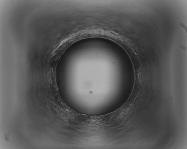 X0000103481494200809121638