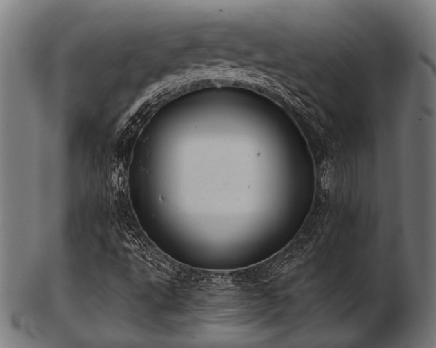 X0000103481495200809121638
