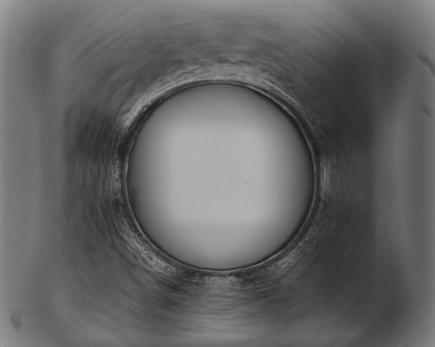 X0000103481498200809121638