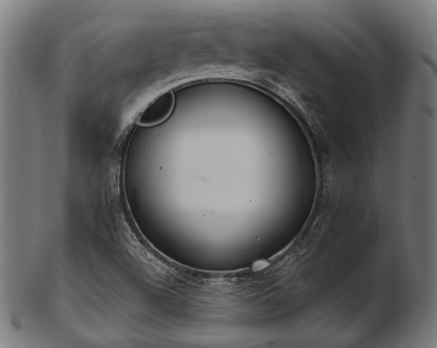 X0000103481504200809121638