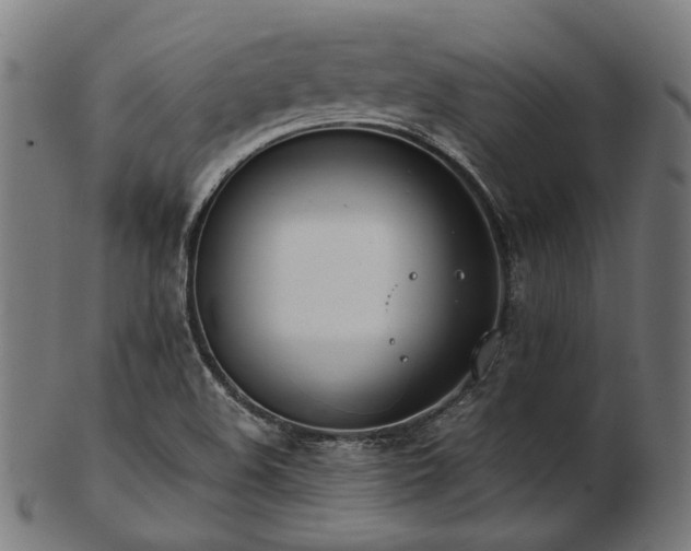 X0000103481508200809121638