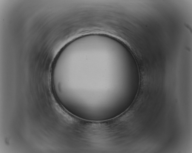 X0000103481518200809121638