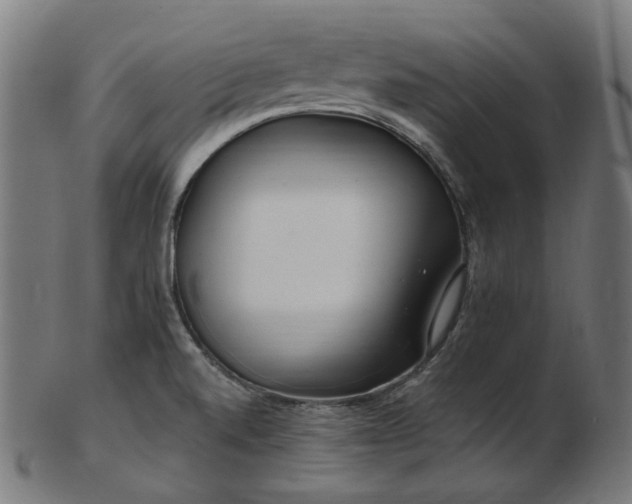 X0000103481520200809121638