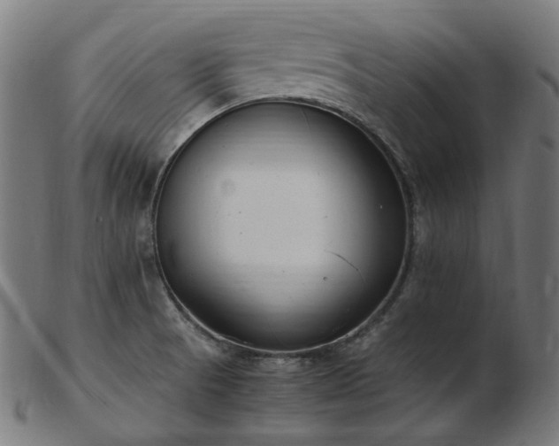 X0000103481521200809121638