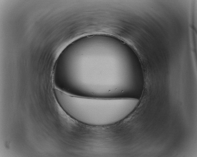 X0000103481524200809121639