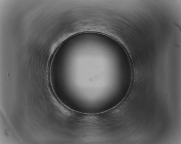 X0000103481525200809121639