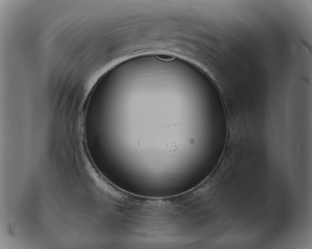 X0000103481526200809121639