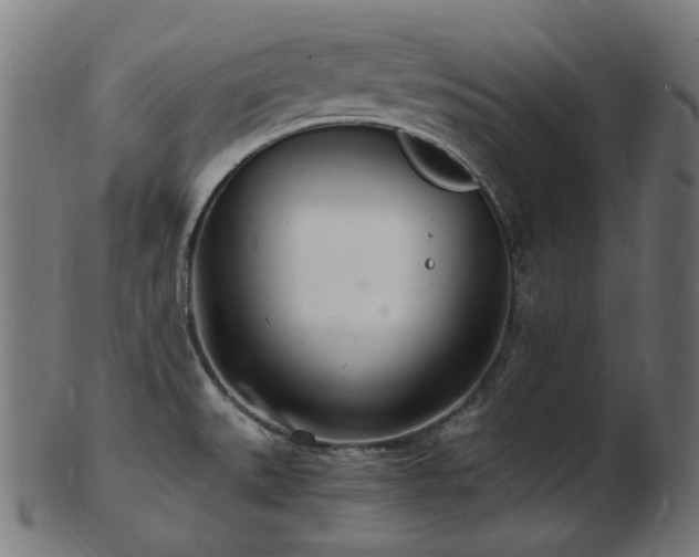 X0000103481527200809121639