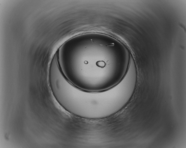 X0000103481528200809121639