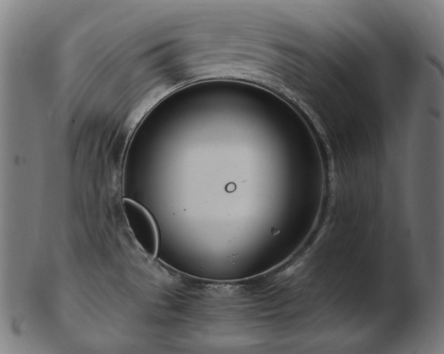 X0000103481529200809121639