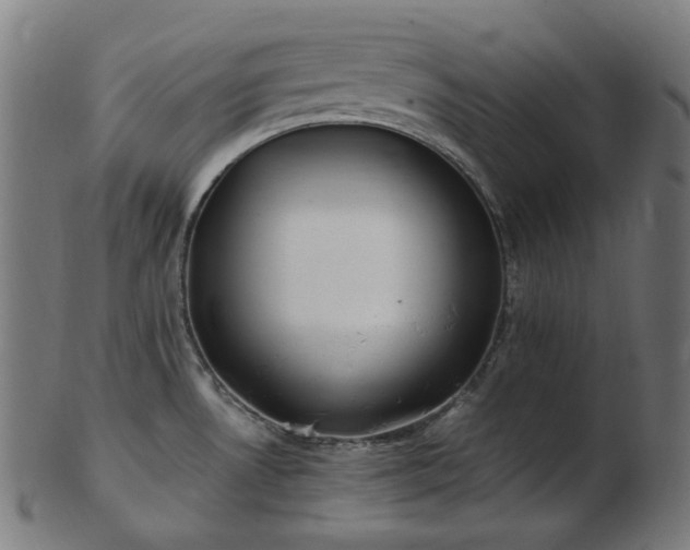 X0000103481530200809121639