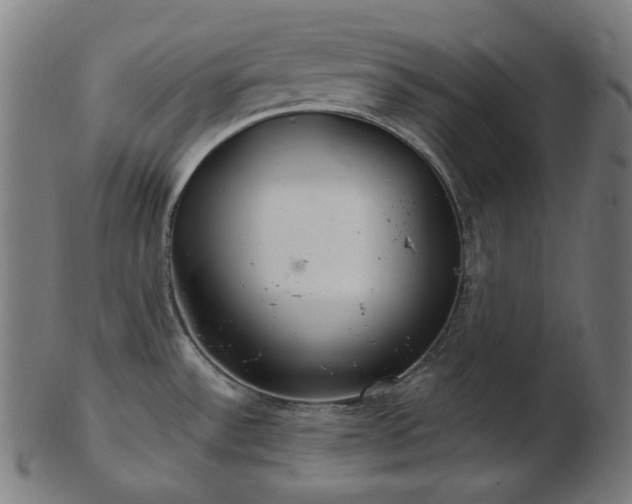 X0000103481532200809121639