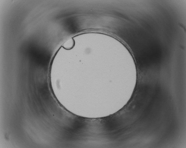 X0000103481533200809121639