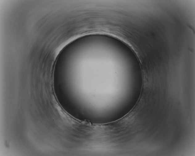 X0000103481534200809121639