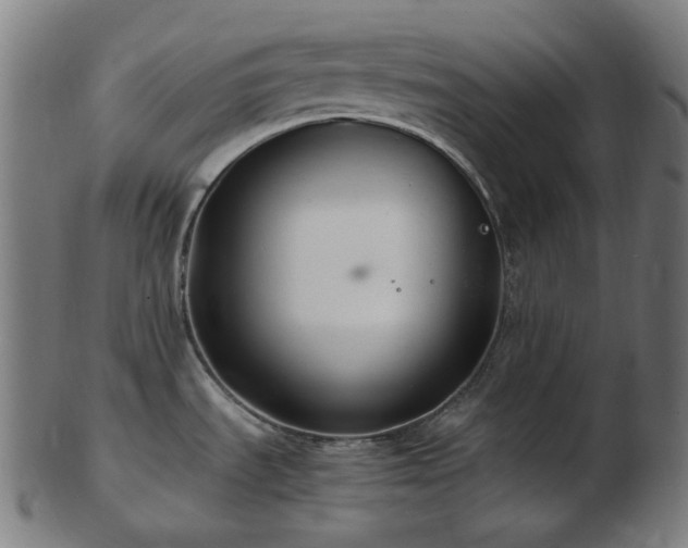 X0000103481535200809121639