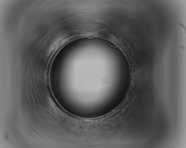 X0000103480002200809191909