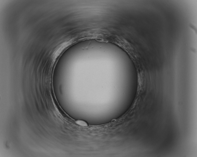 X0000103480003200809191909