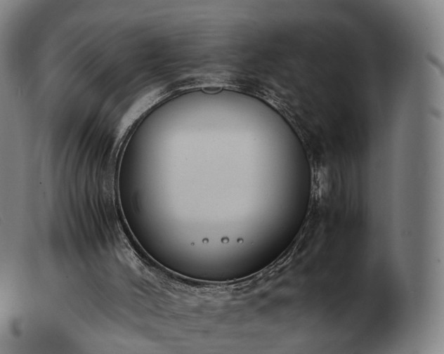 X0000103480004200809191909