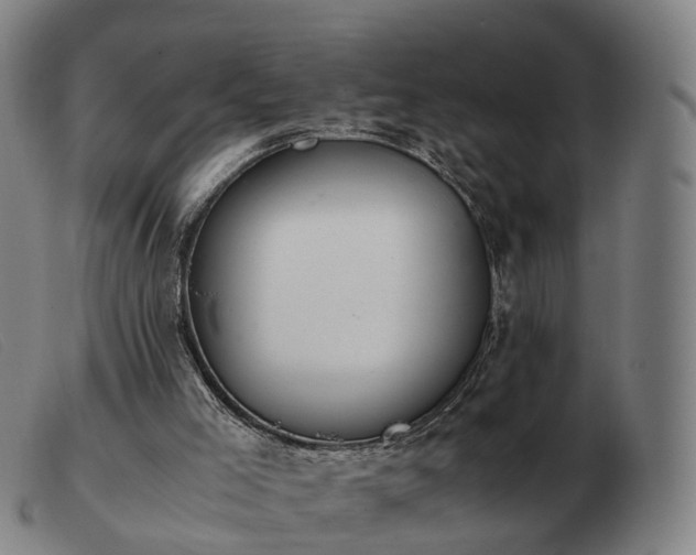 X0000103480005200809191909