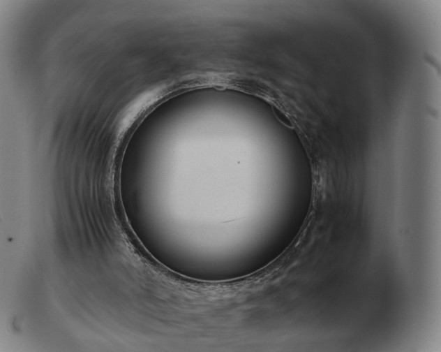 X0000103480006200809191909