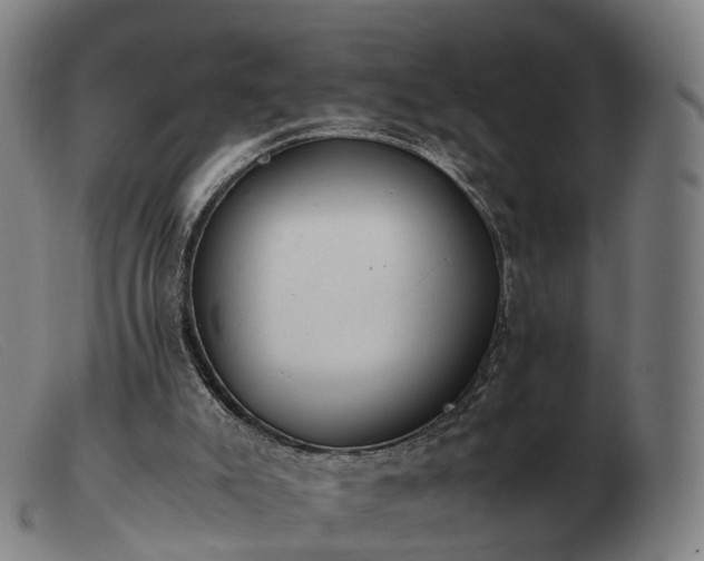 X0000103480007200809191909