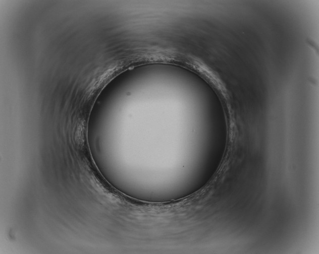 X0000103480009200809191909