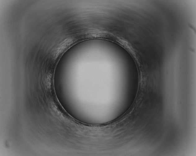 X0000103480010200809191909