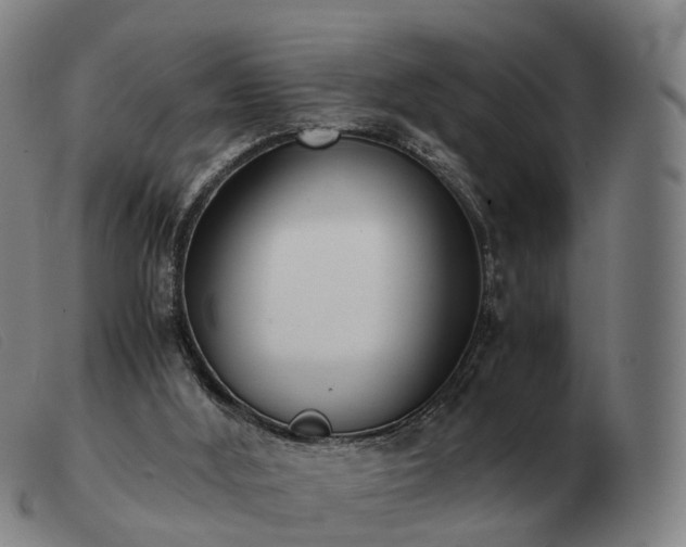 X0000103480012200809191909