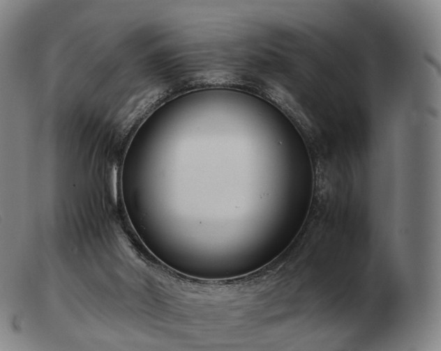X0000103480014200809191909