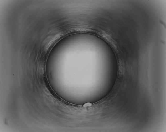 X0000103480015200809191909